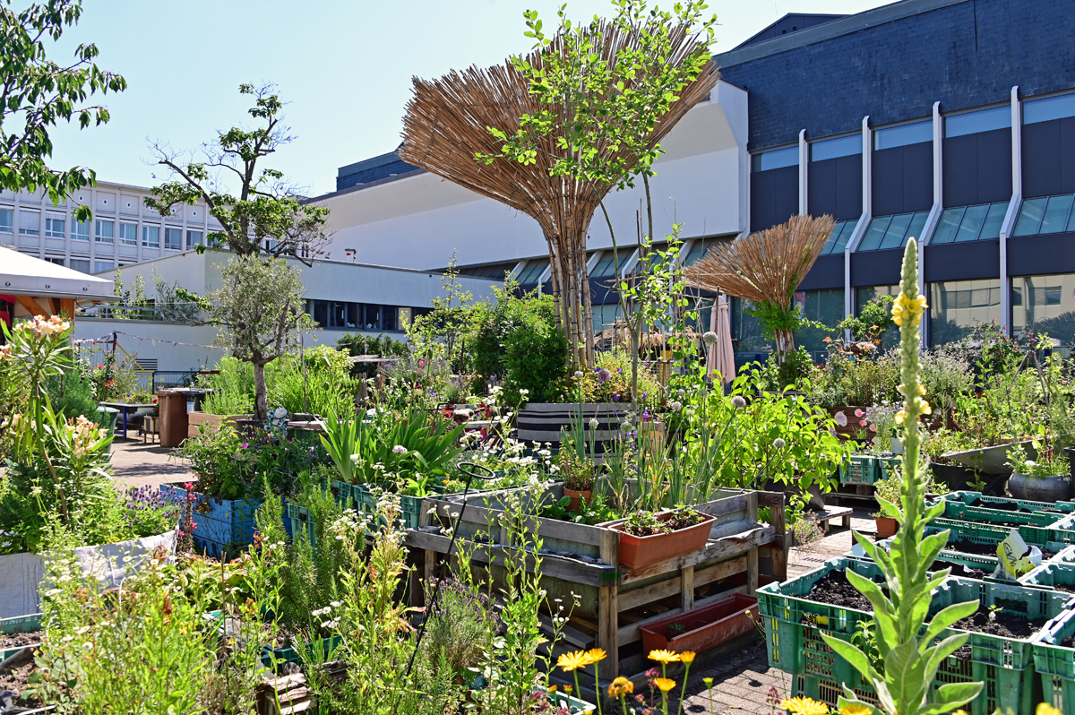 hack-museumsgARTen - Ein Garten für Alle